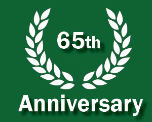 65th anniversary logo